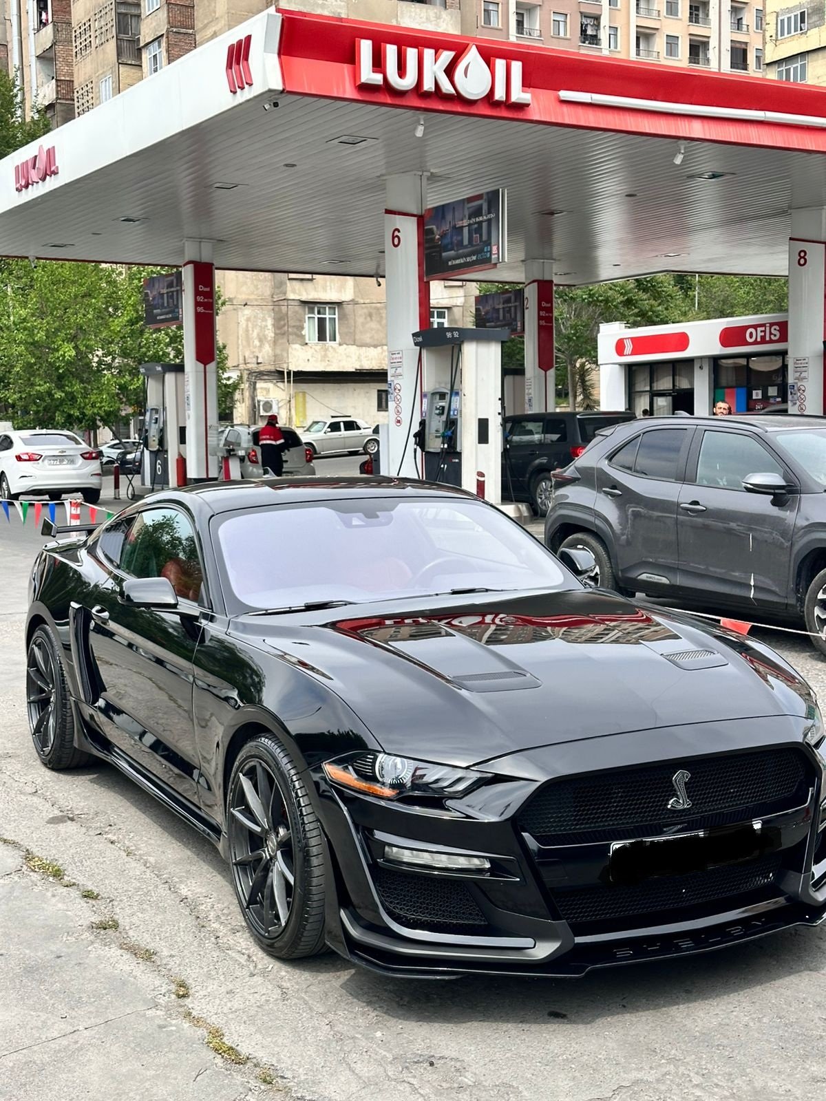 Mustang