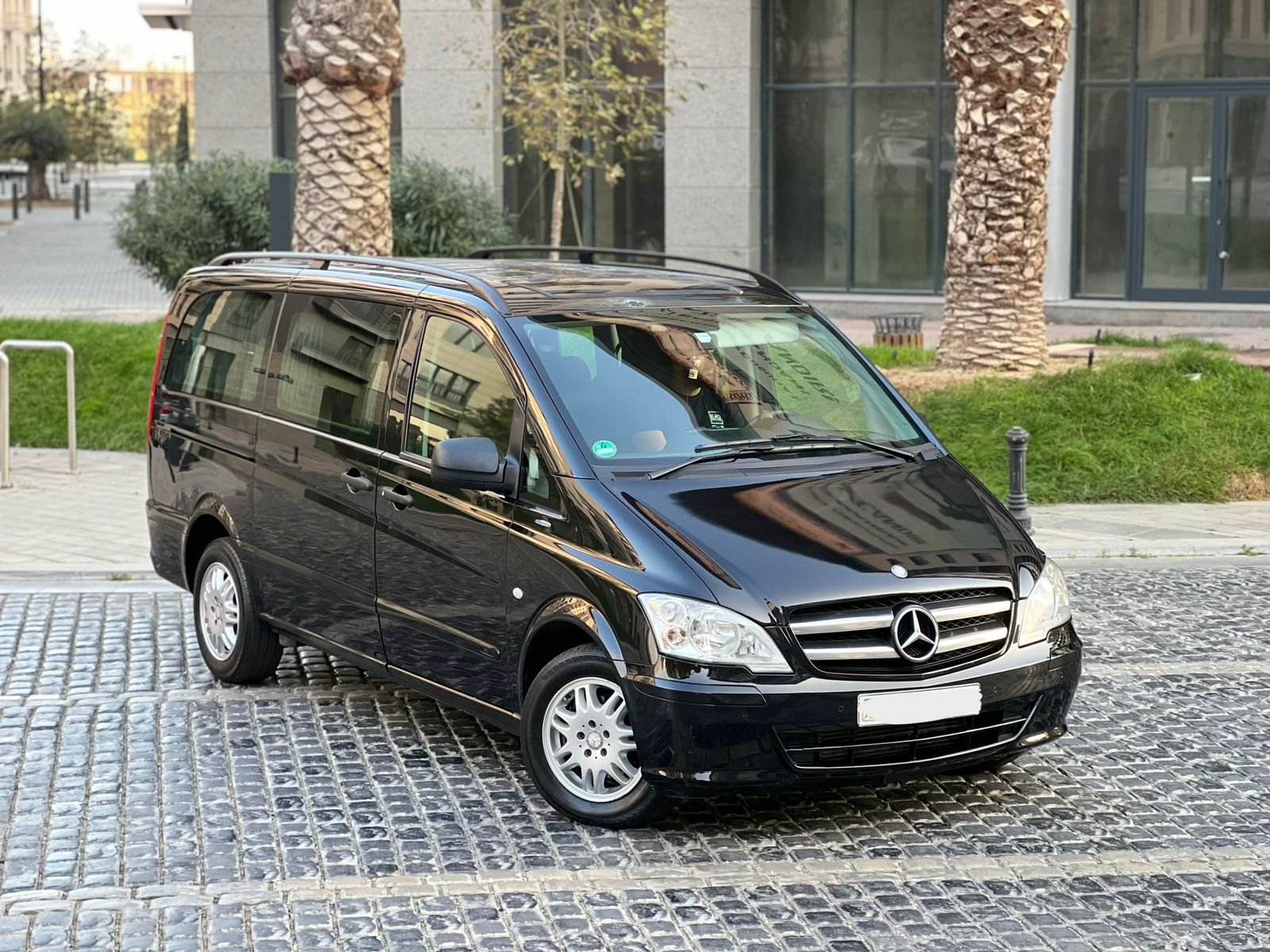 Mercedes Viana