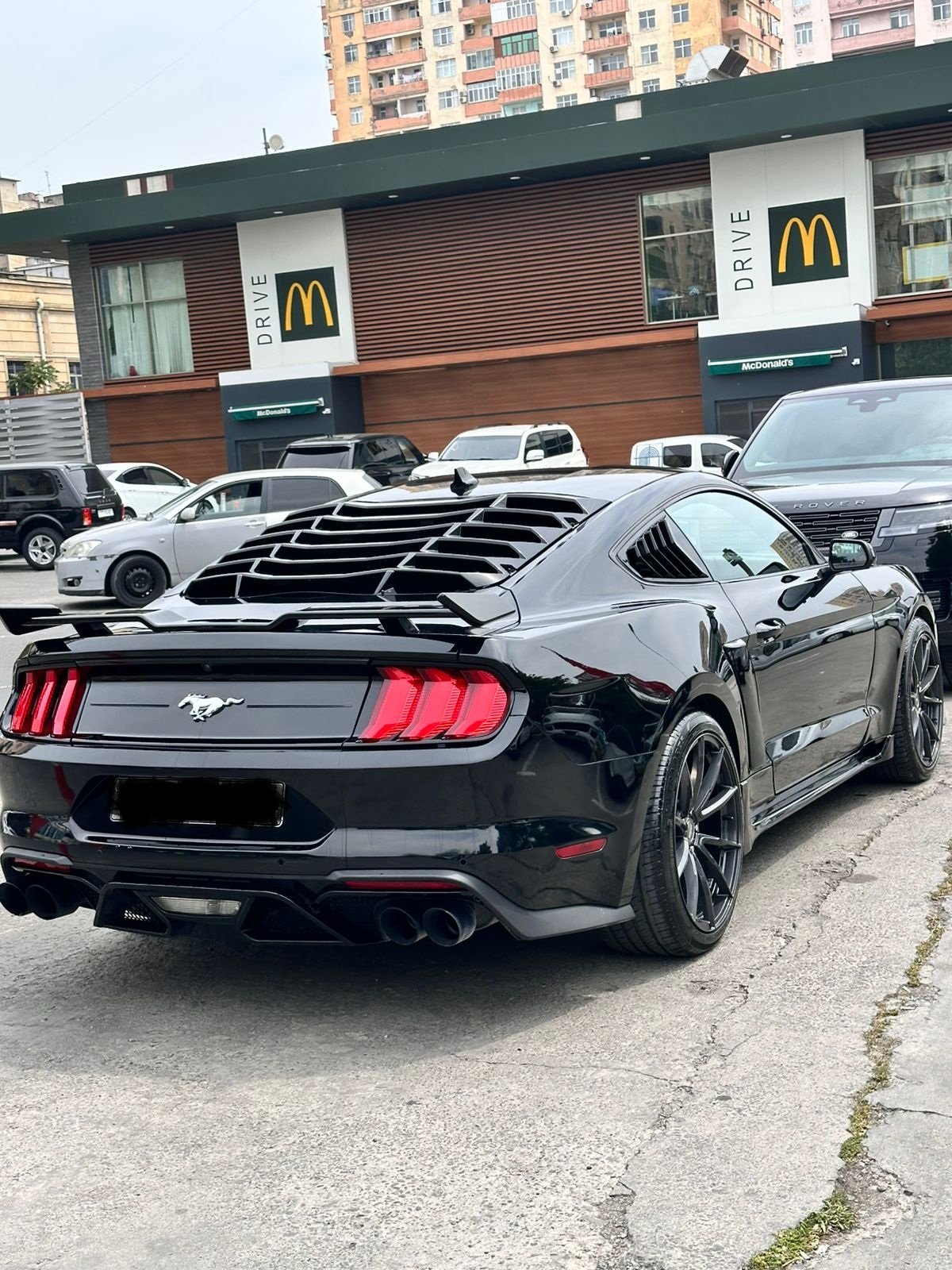 Mustang əlavə şəkil 2