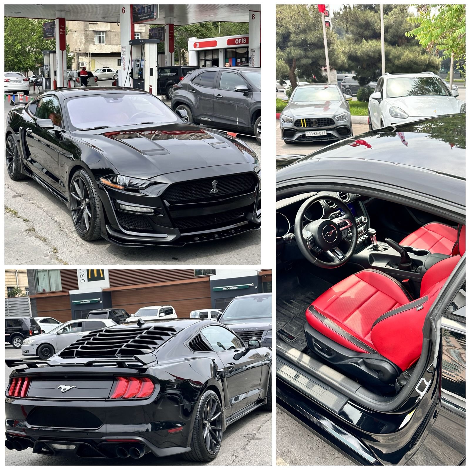 Mustang əlavə şəkil 3