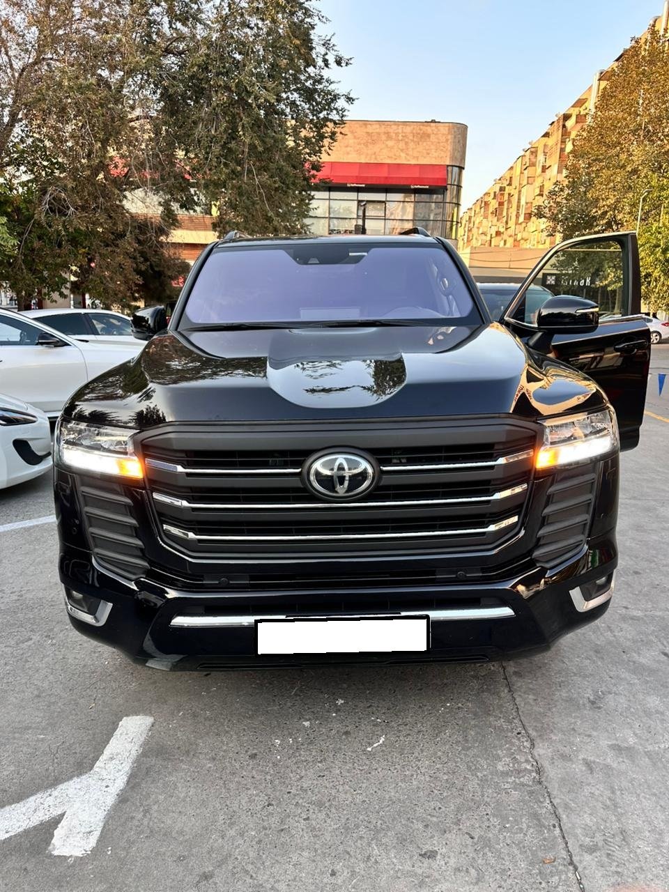Land Cruiser