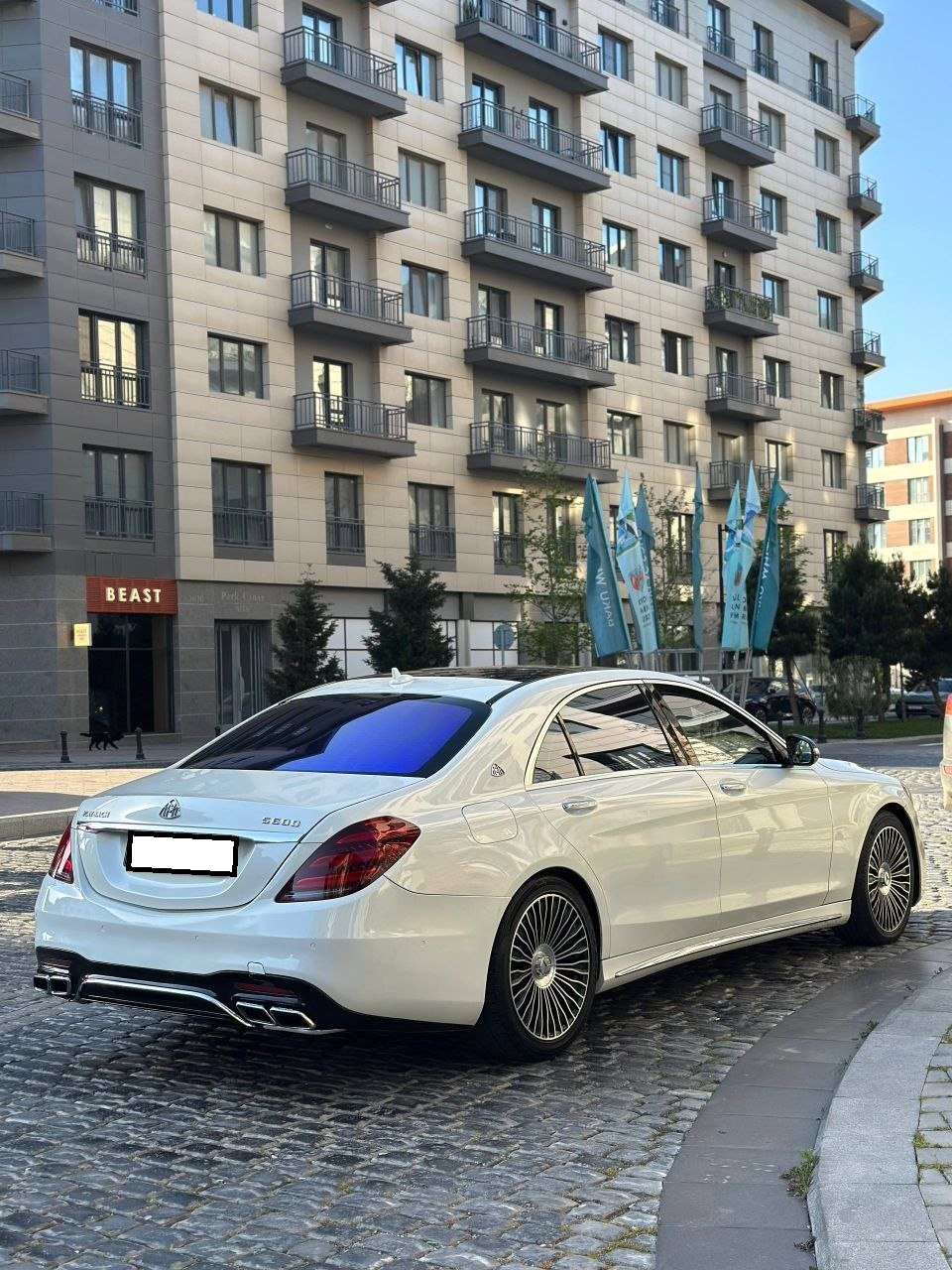 MERCEDES S CLASS əlavə şəkil 4