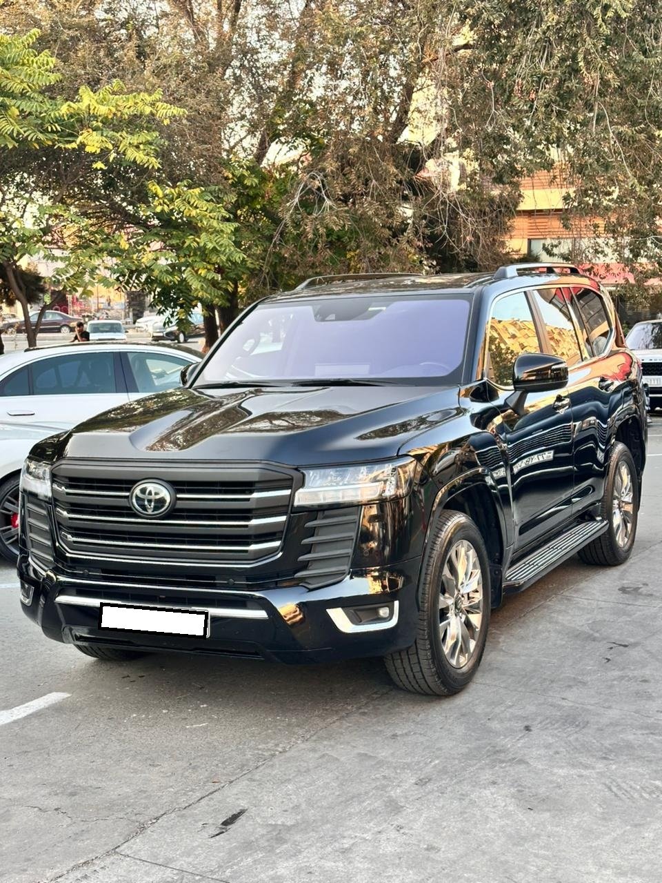 Land Cruiser əlavə şəkil 2